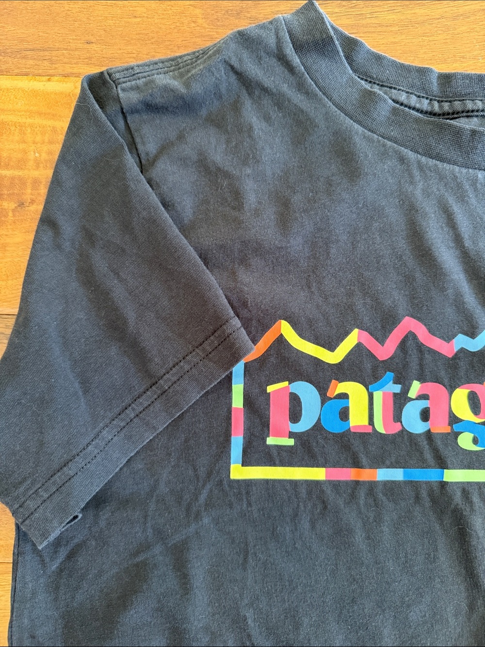 Patagonia Kids’ Graphic T-Shirt Dark Gray/Light Black with Multicolor Logo